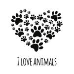*I LOVE ANIMALS