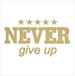 *NEVER GIVE UP