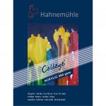 Hahnemuhle Альбом-склейка для акрила "College-Acrylic", 350 г/м2, 30х40 см, 10 л