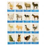 Обучающие карточки, английский язык "Домашние животные и птицы" 16 шт.