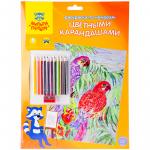 Раскраска по номерам Мульти-Пульти "Попугаи" А4, с цветными карандашами, картон, европодвес, PP_10423
