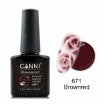 Canni Blossom Gel, для акварельной росписи № 671