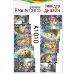 Beauty COCO, слайдер-дизайн A-1010