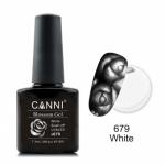 Canni Blossom Gel, для акварельной росписи № 679