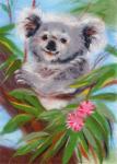 "Woolla"   WA-0136   набор "Добродушная коала"