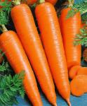 Морковь Поздняя Сладкая 1г