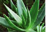 Aloe Vera смывка макияжа для лица