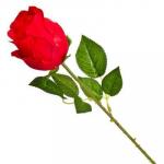 Цветок искусственный "В виде Розы" , полиэстер, 64 см, 6 цветов