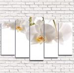 Модульная картина Белые орхидеи 5-1