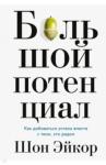 Шон Эйкор Большой потенциал. Как добиваться успеха вместе с теми, кто рядом