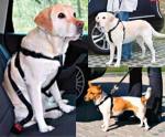 Ремень безопасности автомобильный для собак 50-80см Trixie 1291