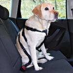 Ремень безопасности автомобильный для собак 70-90см Trixie 1292