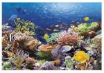 Пазлы 1000 Коралловый риф
