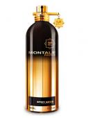 MONTALE SPICY AOUD unisex