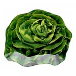 Блюдо сервировочное Lettuce, 16x18см