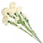 Ветка "Гвоздика кустовая", полиэстер, 63  см, 5 цветов