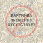 Авантюрист поневоле, или Пять су Лавареда. Необычайные приключения на краю света