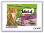 Влажный корм в соусе ассорти 4 вкуса Kitekat 12 шт