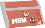 HSMM-09T-021 Кошелек, 9х14х2 см High school Musical
