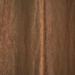 Шторы портьерные Тергалет светло-коричневый 140*260*2 шт.