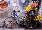 Велосипед с букетами цветов в корзине