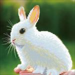Кристальная мозаика (алмазная вышивка) "ФРЕЯ" ALV-6   "Белый кролик"