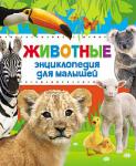 Книга Животные Энциклопедия для малышей 144 стр 9785353079354