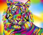 Разноцветный окрас тигра