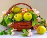 Зеленые яблочки и цветение