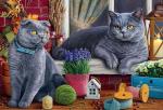 "Британские коты" живопись на холсте 40х50см