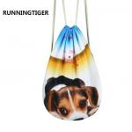 Рюкзак-мешок Running Tiger - CH3901-53