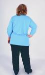 Блуза с удлиненной спинкой - лакост - Грация | голубой