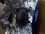 Чернослив в шоколадной глазури с кокосом
