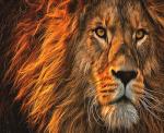 Большой мудрый лев