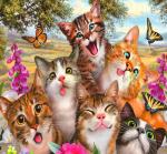 Веселые котята и бабочки