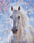Белая лошадь под весенней сакурой