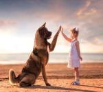 Девочка и большой пес у моря