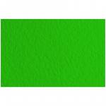 Бумага для пастели 10л. 500*650мм Fabriano Tiziano, 160г/м2, зеленый темный, 52551037