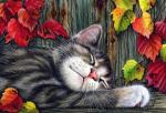 Кот спит под осенним деревом