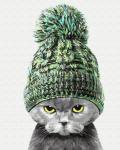Кот в теплой шапке