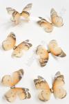 Бабочки шифоновые средние 4,5 см (10 шт) SF-4483, №14