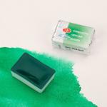 Белые ночи акварель кювета 2,5 мл Зеленая светлая