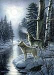 Волки у ночного ручья в лесу