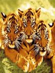 Флисовый плед "Тигрята" 150*200 см
