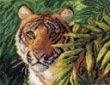 526-1 Канва с рисунком Матренин посад 'Индокитайский тигр' 24*30см (28*37см)
