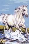 SE928-258 Канва с рисунком SEG de Paris 'Белая лошадь' 30*40 см