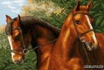 608 Канва с рисунком 'Матренин посад' 'Пара лошадей', 37*49 см