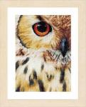PN-0157518 Owl набор для вышивания
