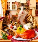 Аппетитный обед двух котов