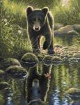 Медвежонок у пруда